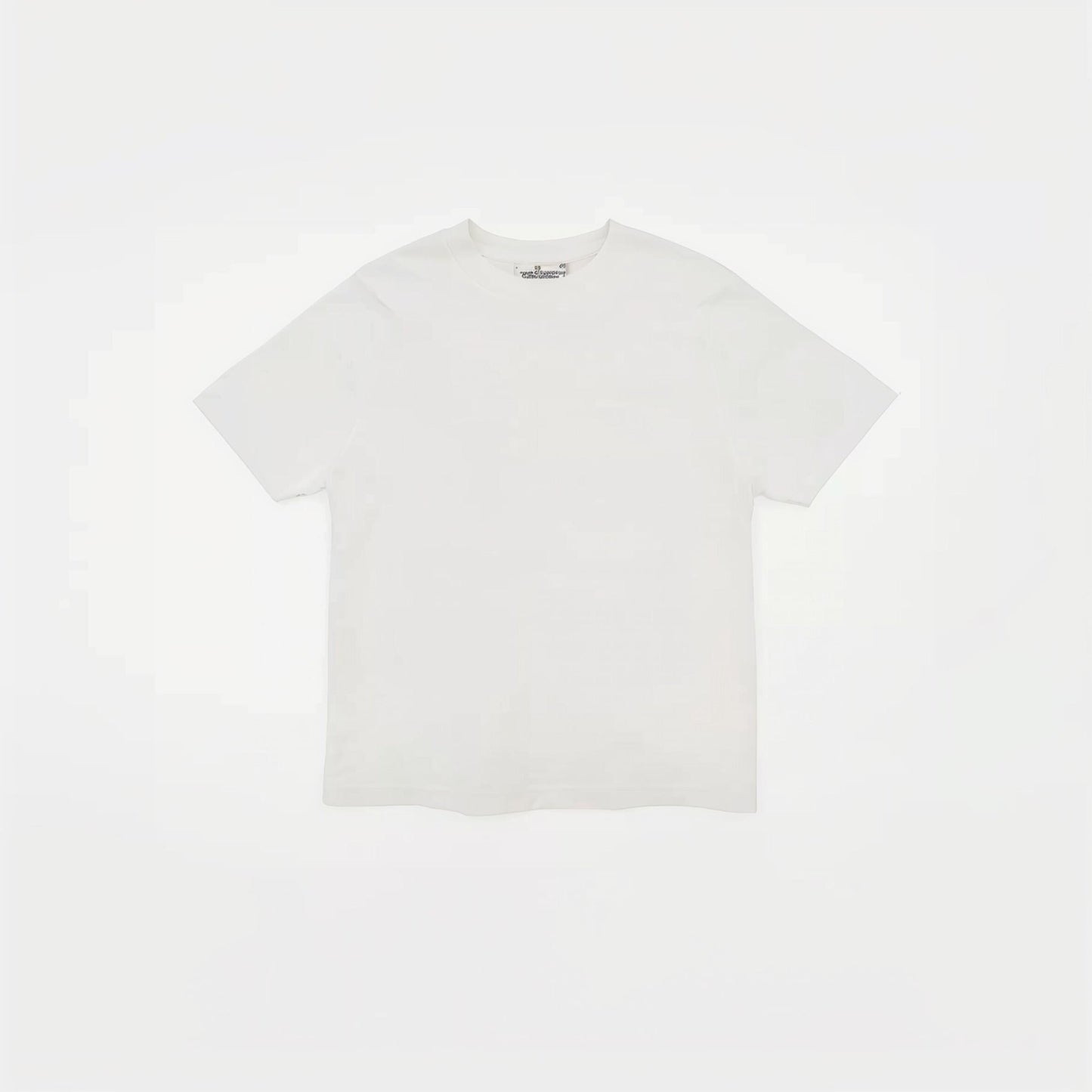 Example product Oversize Box T-Shirt – NomadNine